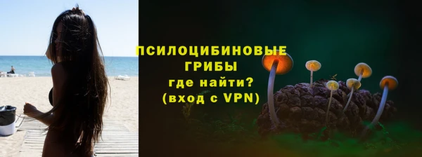 прущая мука Белокуриха