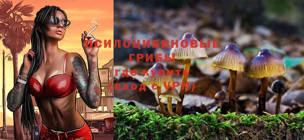 МДПВ Белоозёрский